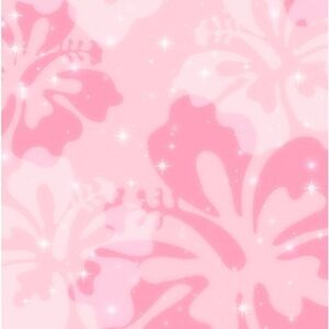 Meet your Posher, Khamila